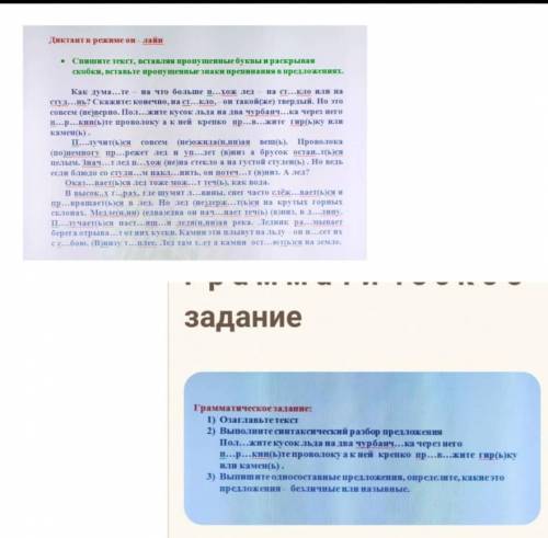 ПО РУССКОМУ ЯЗЫКУ!  ЧЕСТНО, НА ВАШУ СОВЕСТЬ!​Желательно напишите это всё на листочке