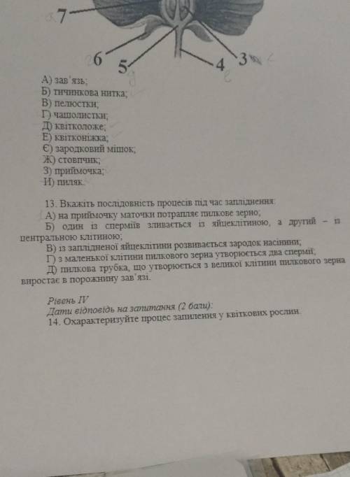 ДАЙТЕ БУДЬ ЛАСКА ВІДПОВІДЬ НА 13 ЗАВДАННЯ (ОБОВ'ЯЗКОВО) І НА 14(ЯКЩО МОЖНА) ДУЖЕ ТЕРМІНОВО БУДЬ ЛАСК