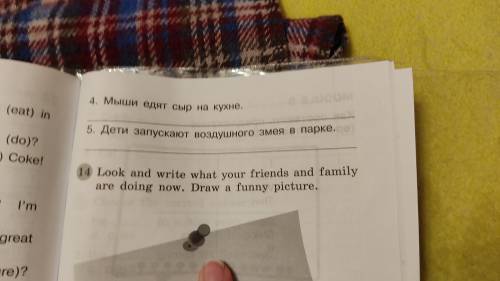 Добрый вечер правильно написать предложения на английском. Номер 13