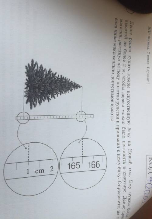 Была Анис решил купить домой искусственную елку на Новый год. Ему нужнавысотой не более 2 м, чтобы д