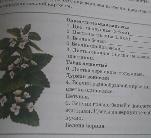 На основе инструкций определите вид растения, представленного на определённом карточке ​