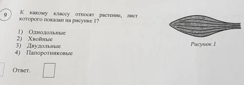 9 ЛИСТк какому классу относят растение,которого показан на рисунке 1?1) Однодольные2) Хвойные3) Двуд