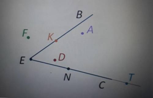 Задание 6Вопрос: :Как называют точку Е в угле ВЕС?​