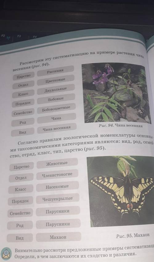 3.Задание  1и 2 на странице 146-147 Пояснение:Например, есть заяц-беляк, заяц-русак-это 2 разных вид