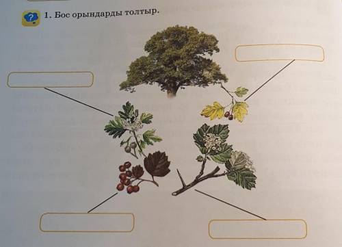 71. Бос орындарды толтыр.​