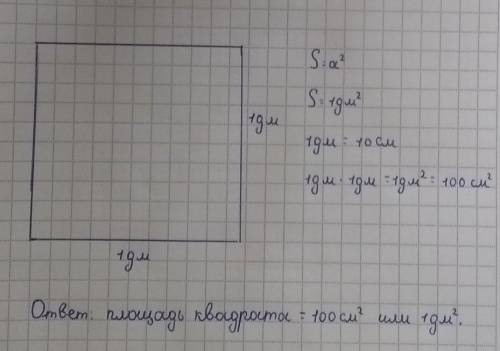 6. Начерти квадрат со стороной 1 dm и найдиего площадь.​