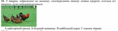 у півнів ігають типову лінійну ієрархію ,оскільки всі тварини групи підпорядкувуються :А. найстаршій