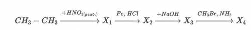 Чем является вещество Х4 в системе превращений? ответ запишите названием соединения по систематическ