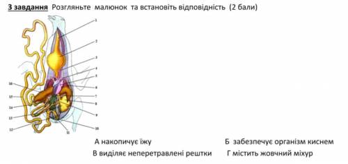 Пліз ів бо більше неможу але пліз швидко