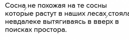 Поставьте запятые))) Сосна не похожая на те сосны которые растут в наших лесах стояла невдалеке вытя