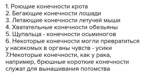 Какое строение имеют конечности, и какие функции они выполняют (Заполнить таблицу) Плз реще