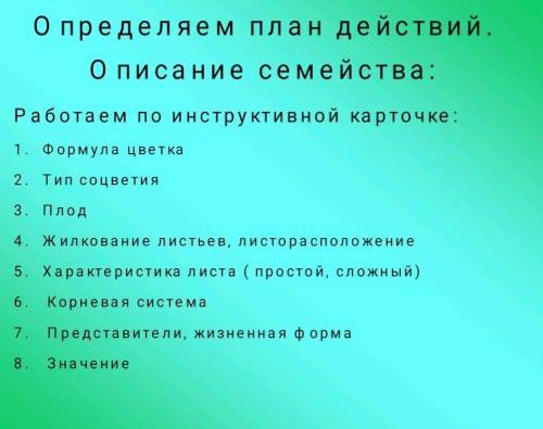 ОЧЕНЬ !! Определяем план действий. О описании семейства: Работаем по инструктивной карточке: Описать