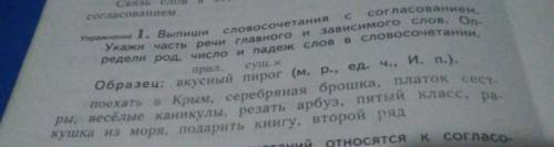 Выпиши словосочетания с согласованием. Укажи часть речи главного и зависимого слов. Определи род, чи