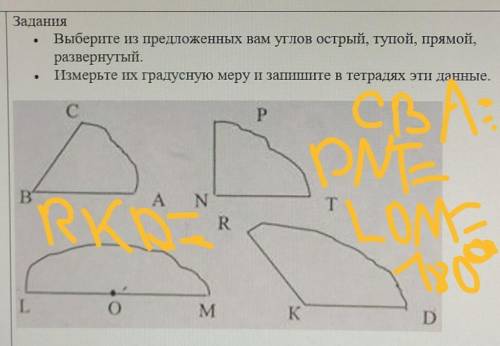 Задания Выберите из предложенных вам углов острый, тупой, прямой,развернутый.Измерьте их градусную м