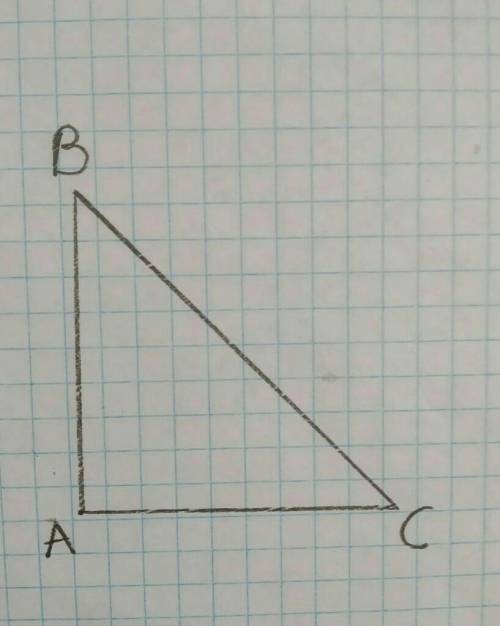 Побудуйте прямокутний трикутник АВС (