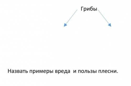 Естествознание вред и польза плесени грибов ​