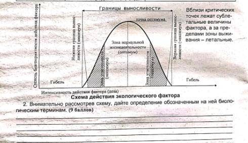 Внимательно рассмотрев схему дайте определения обозначенным на ней биологическим терминам