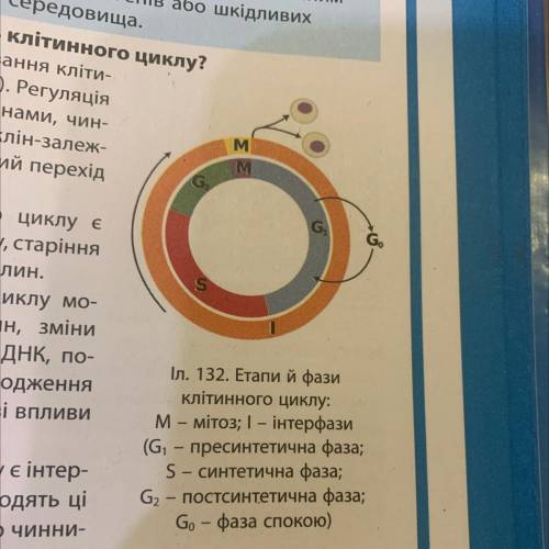 Геронтологія – наука, що вивчає процес старіння організму людини. В сучас- ній геронтології швидко р