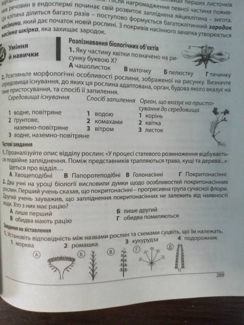 Будь ласка до іть, Біологія тема Квітка, суцвіття