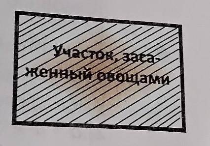 На рисунке дан план огорода прямоугольной формы в масштабе 1 / 50.000 . Отрезку на местности 50 м со