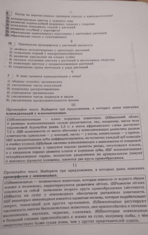 с тестом по доказательствам эволюции​