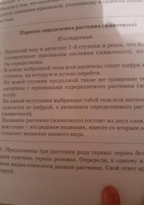 . Составьте определительную карточку- ель обыкновенная. Порядок определительной карточки должен прис