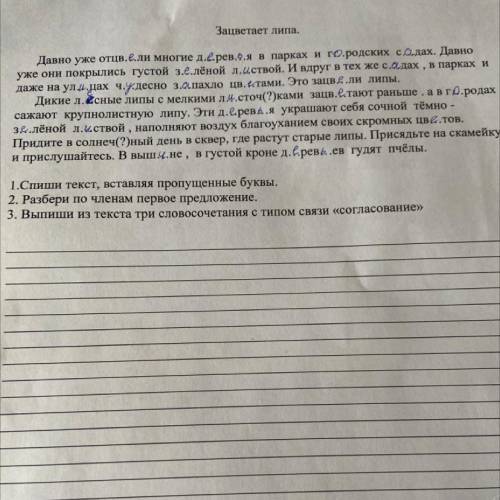 Зацветает липа. Давно уже отцв.е.ли многие дерев..я в парках и городских садах. Давно уже они покрыл