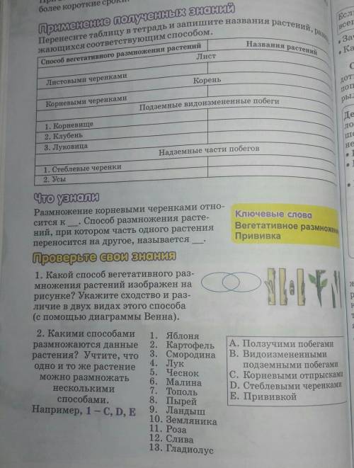 ребят нужно применение полученных знаний и проверь свои знание если сможете ​