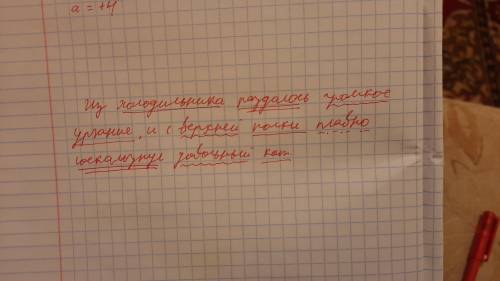 из холодильника раздалось громкое урчание,и с верхней полки плано соскальзнул довольный кот разобрат