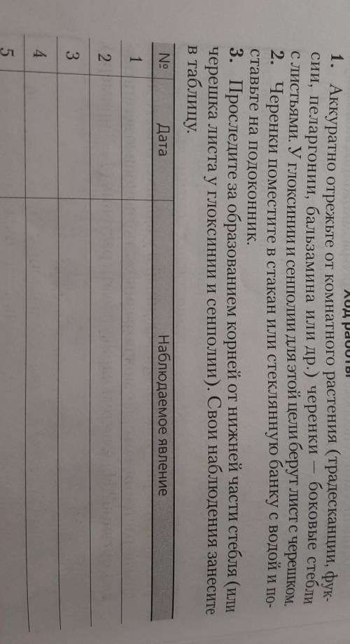 Ход работы 1. Аккуратно отрежьте от комнатного растения (традесканции, фук-сии, пеларгонии, бальзами