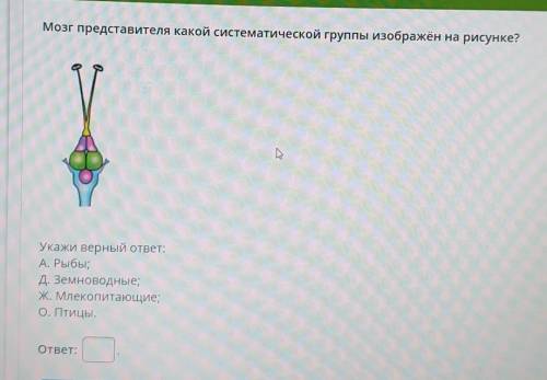 УМОЛЯЮ ОТВЕТЬТЕ У МЕНЯ КОНТРОЛЬНАЯ ПО БИОЛОГИИ (НА ФОТО )​