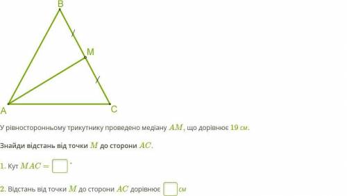 У рівносторонньому трикутнику проведено медіану AM, що дорівнює 19 см. Знайди відстань від точки M д