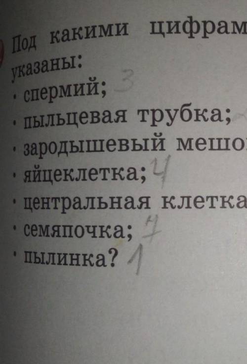 Кому с Биологией Задание: Под какими цифрами на рисунке указаны:​