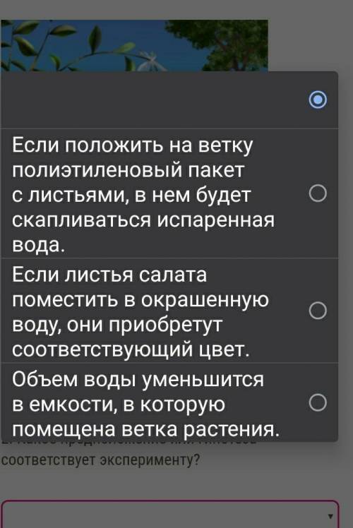 Вопрос: какое предположение или гипотеза соотвествует эксперементу?​