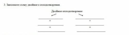 3. Заполните схему двойного оплодотворения.​