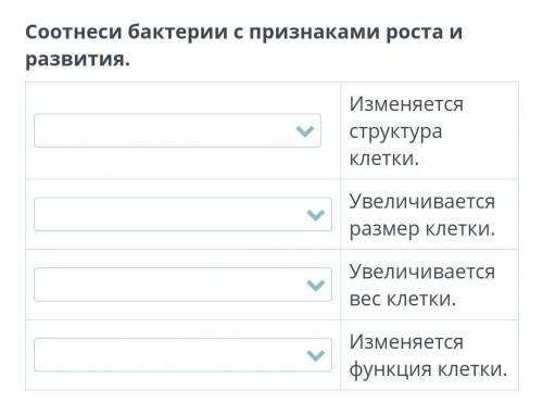 Соотнеси бактерии с признаками роста и развития. Изменяется структура клетки.Увеличивается размер кл