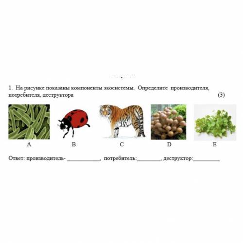 ￼￼на рисунке показаны компоненты экосистемы .Определите производителя,потребителя деструктора
