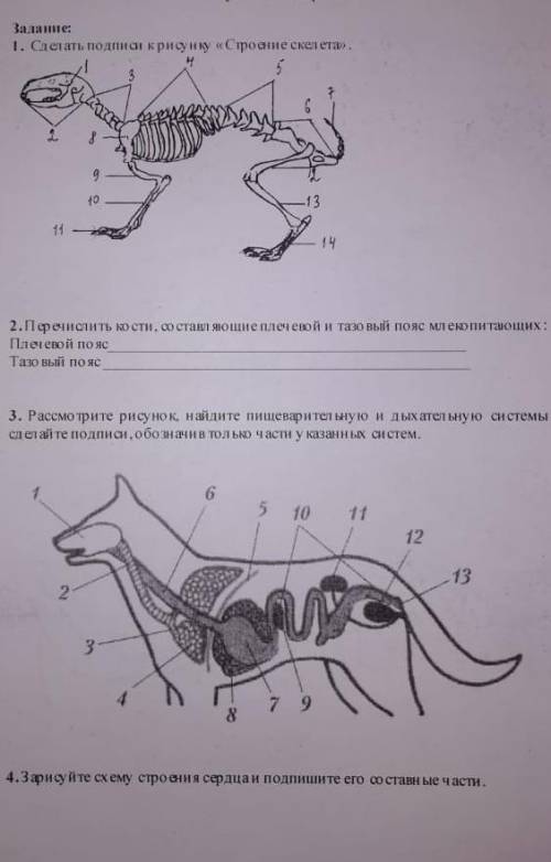 НУЖНО СДЕЛАТЬ ВСЕ ЗАДАНИЯ ​