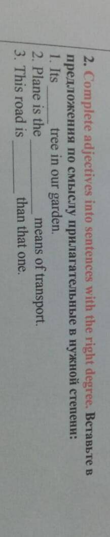 2. Complete adjectives into sentences with the right degree. B. tree in our garden. 1. Its 2. Plane 
