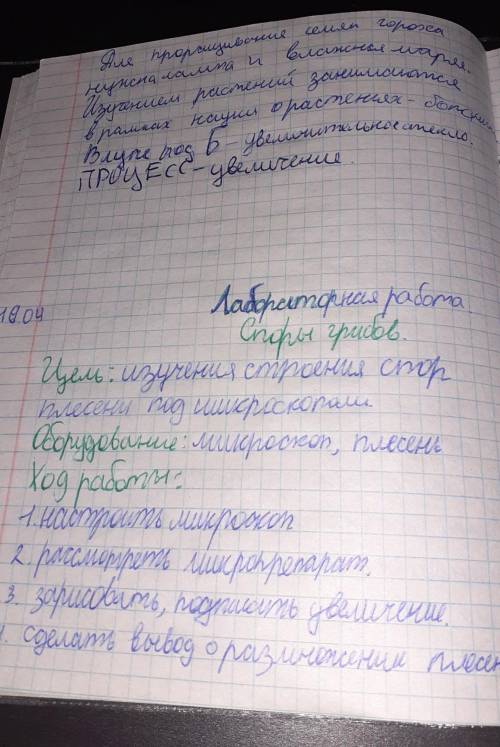 написать вывод о размножении плесени, биология 5 класс, делали лабораторную работу где смотрели под 