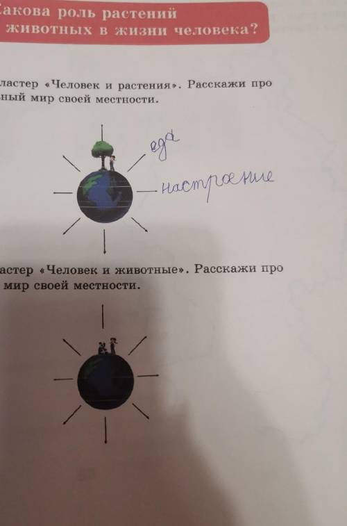 Составить кластер на тему человек и растения и человек и животные​