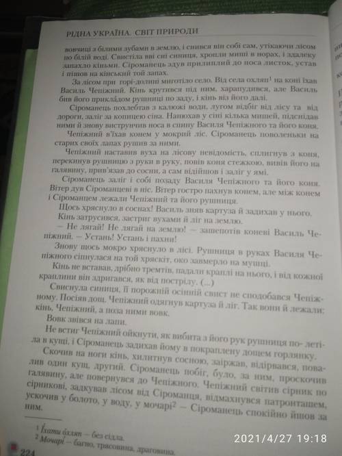 Докладний план до твору Сіроманаць зі сторінки 223-235