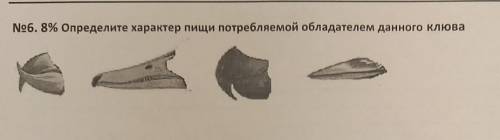 Определите характер пищи потребляемой обладателем данного клюва (на картинке ♡♡​