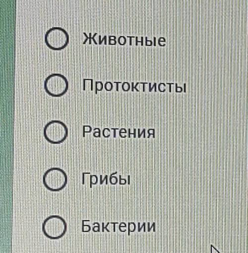 К какому царству относятся ландыш, ковыль, солодка? оЖивотныеоПротоктистыоРастенияОГрибыOБактерии​