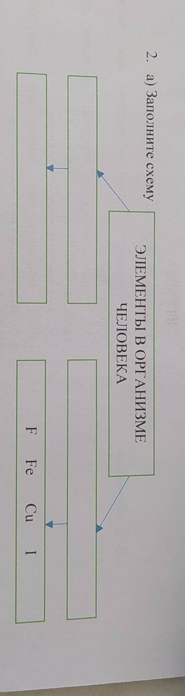 А) заполните схему элементы в организме человека F Fe Cu I​