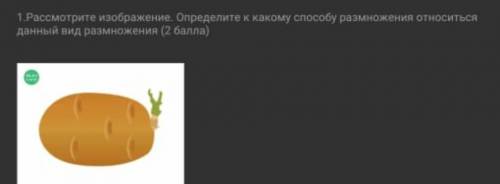 Сразу говорю что за спам отправлю жалобу отвечать только если знаете ответ ​