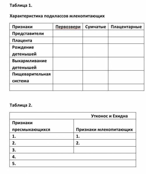 Характеристика подклассов млекопитающих биология ​