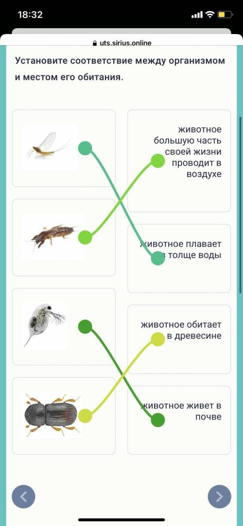 Установите соответствие между организмом и местом его обитания.