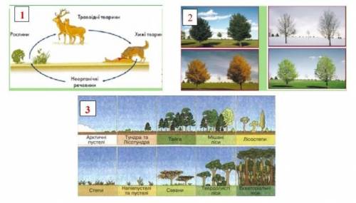 До поданих нижче малюнків доберіть закономірності географічної оболонки, які на них зображені.​
