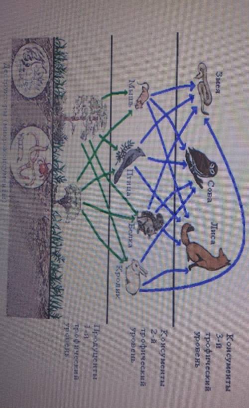 1. На рисунке представлена экосистема. (а) Используя данные на рисунке, составьте экологическую пира